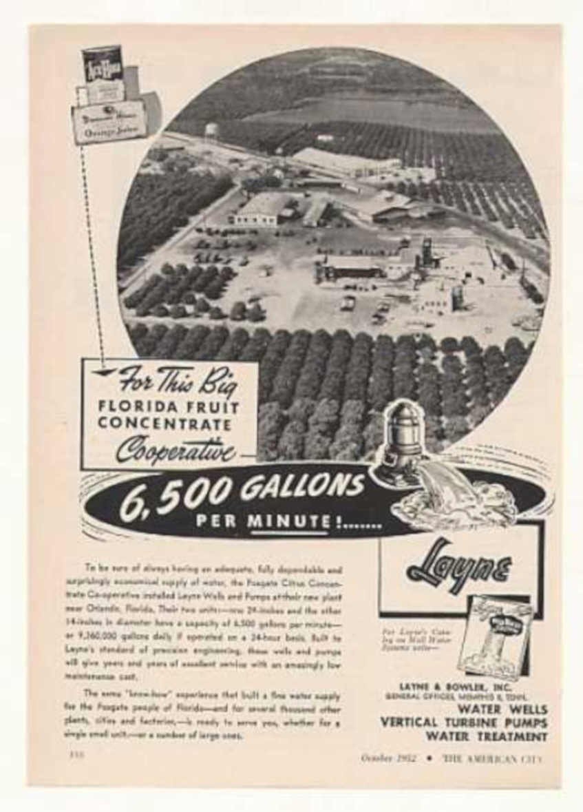 Layne Bowles Citrus Vintage Retro Advert Ads A4 Photo Print