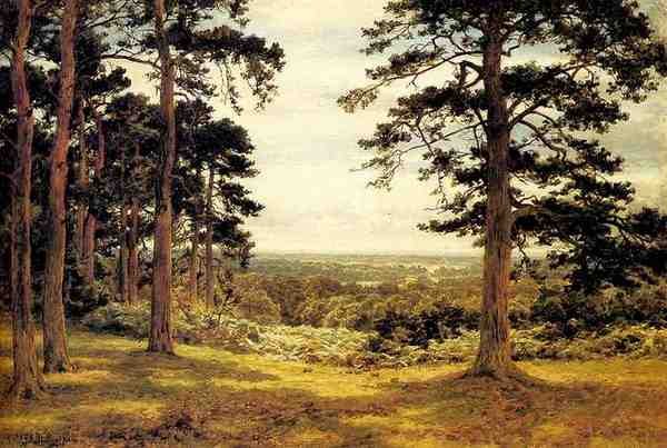 Leader Benjamin Williams A Peep Through The Pines A4 Photo Print