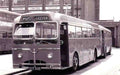 Leicestershire Leicester Single Decker Bus 1950s Vintage A4 Photo Print