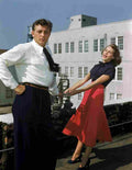 Leigh Janet 23 film star poster A4 Photo Print