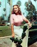 Leigh Janet 3 film star poster A4 Photo Print