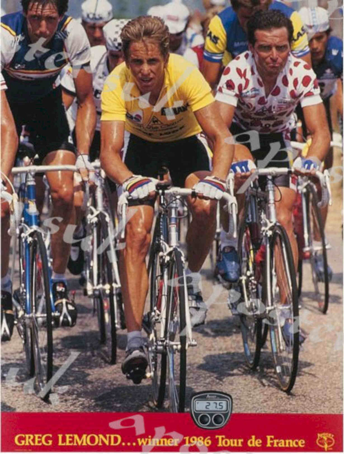 Lemond Tour France Vintage Retro Advert Poster A4 Photo Print