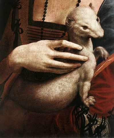 Leonardo DVinci Portrait Of CeciliGallerani Detail1 A4 Photo Print