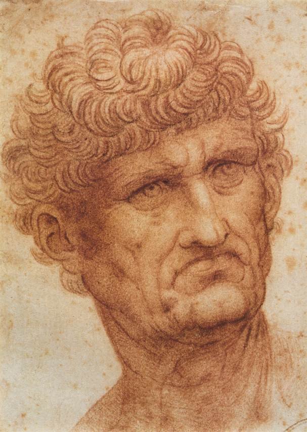 Leonardo Da Vinci Head Of A Man Art A4 Photo Print