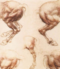 Leonardo Da Vinci Study Of Horses2 Art A4 Photo Print