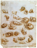Leonardo Da Vinci Study Sheet With Cats Dragon And Other An Art A4 Photo Print