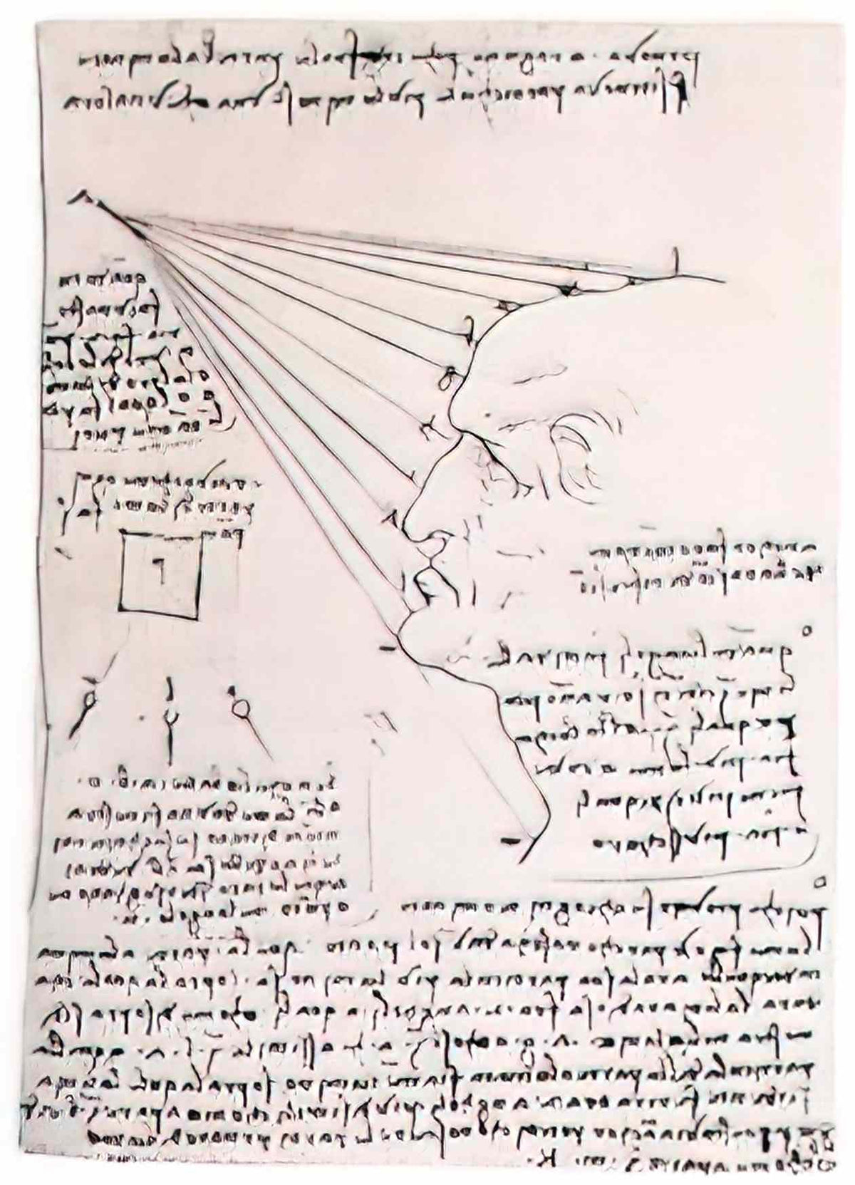 Leonardo da Vinci 1503990074029518 568314 Art A4 Photo Print