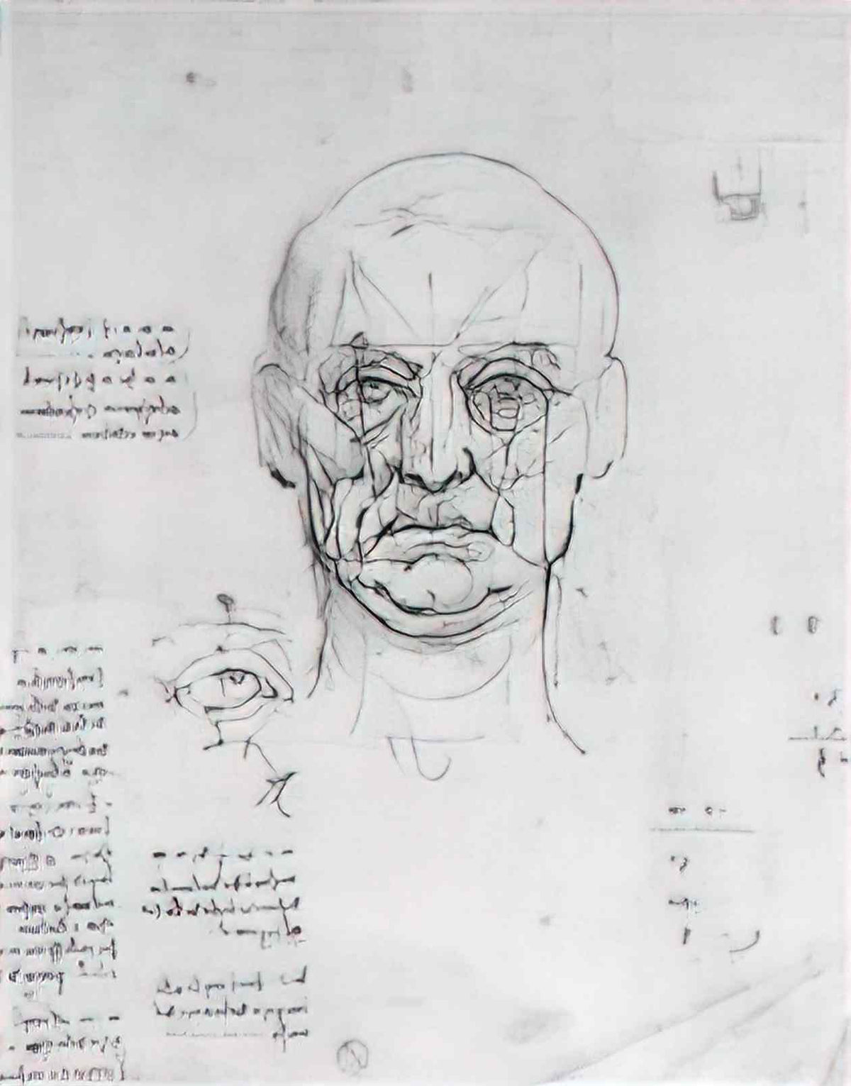 Leonardo da Vinci study on the proportions of head and eyes Art A4 Photo Print