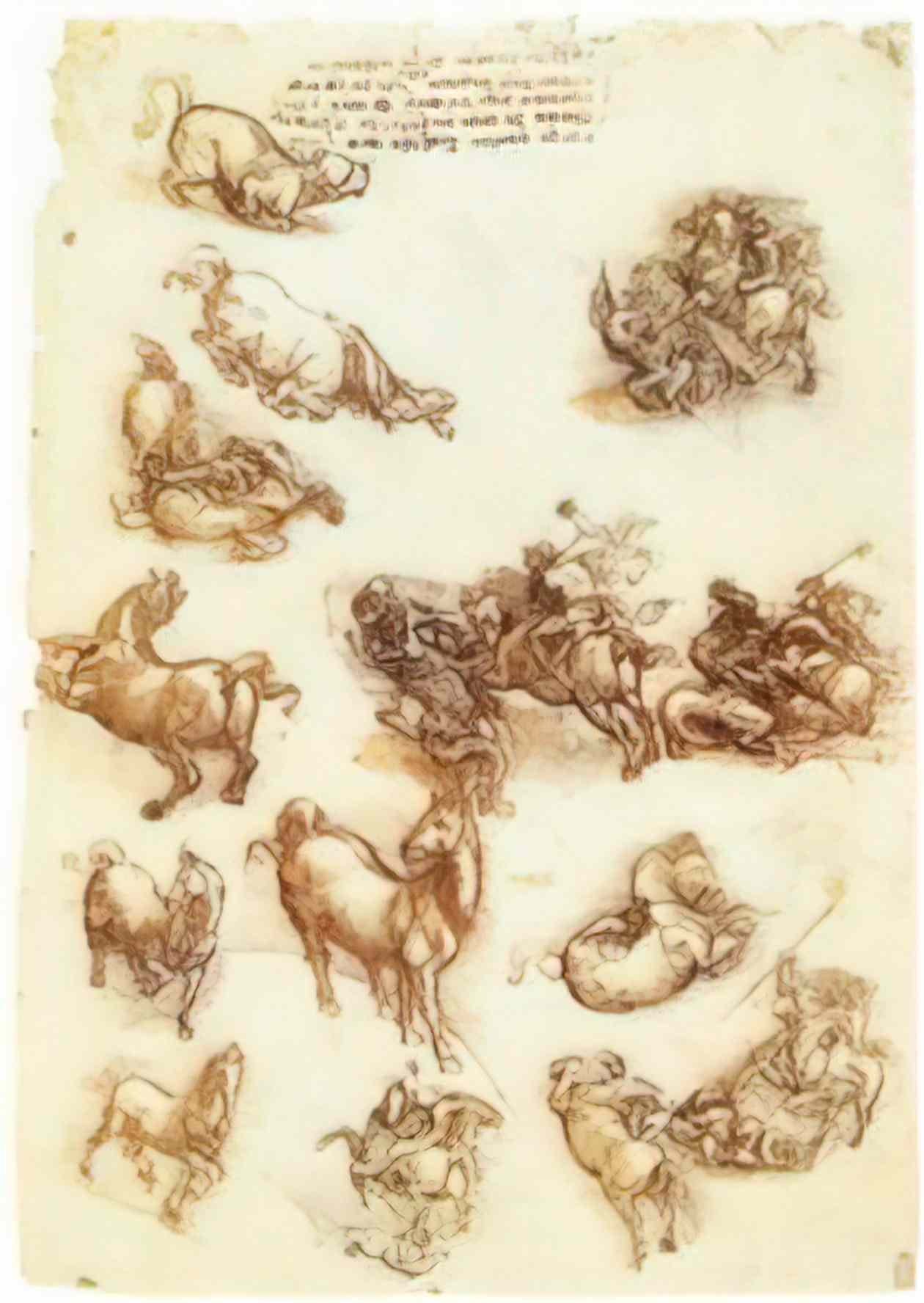 Leonardo da Vinci anatomical studies of a male shoulder Art A4 Photo Print