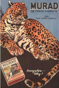 Leopard Cigarette Murad Vintage Retro Advert Ads A4 Photo Print
