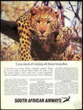 Leopard Tree Savanna Vintage Retro Advert Ads A4 Photo Print