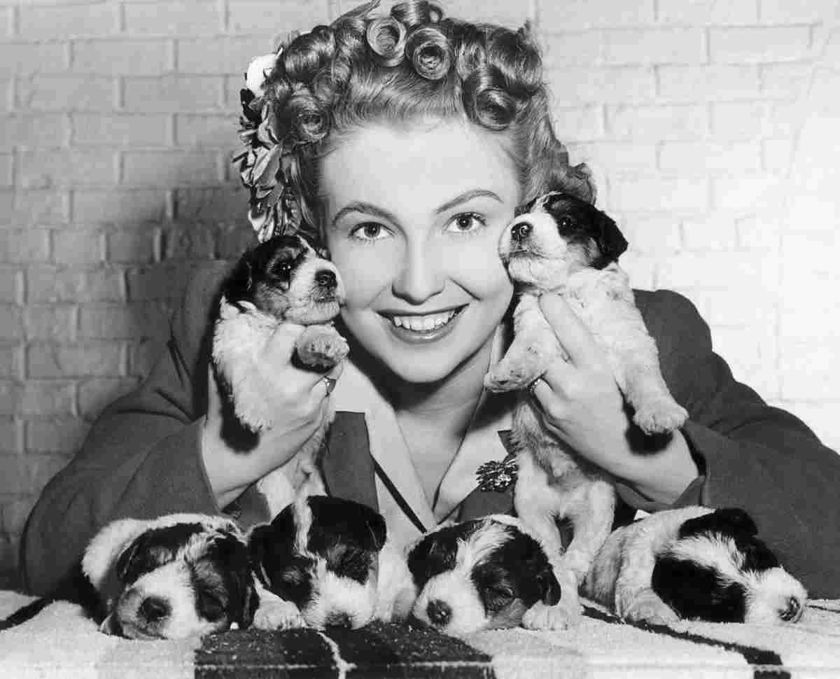 Leslie Joan 7 film star poster A4 Photo Print