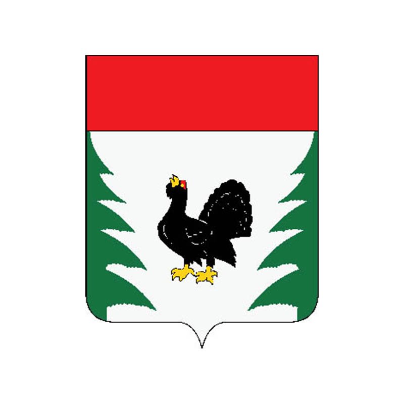 Lesnoi Rayon Coat Of Arms N5464 A4 Photo Print