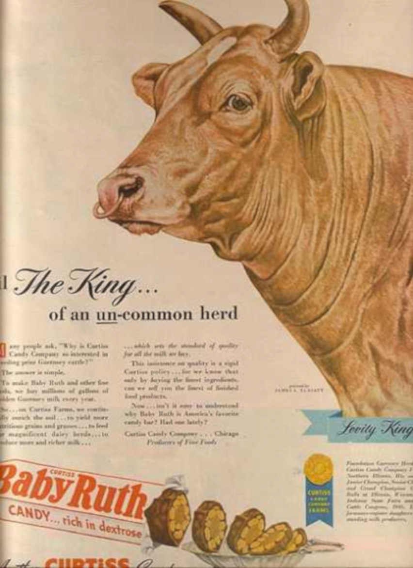 Levity King Bull Vintage Retro Advert Ads A4 Photo Print