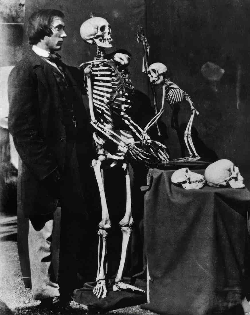 Lewis Carroll reginald southey 1857 2 A4 Photo Print