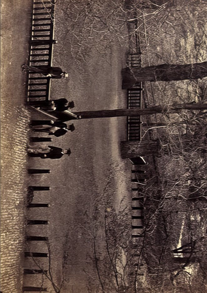 Lewis Carroll untitled 2 CROP A4 Photo Print