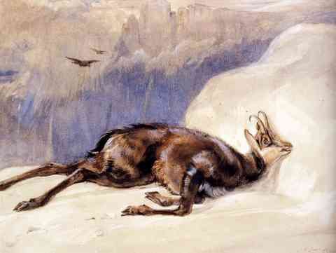 Lewis John Frederick The Chamois Sketched In The Tyrol A4 Photo Print