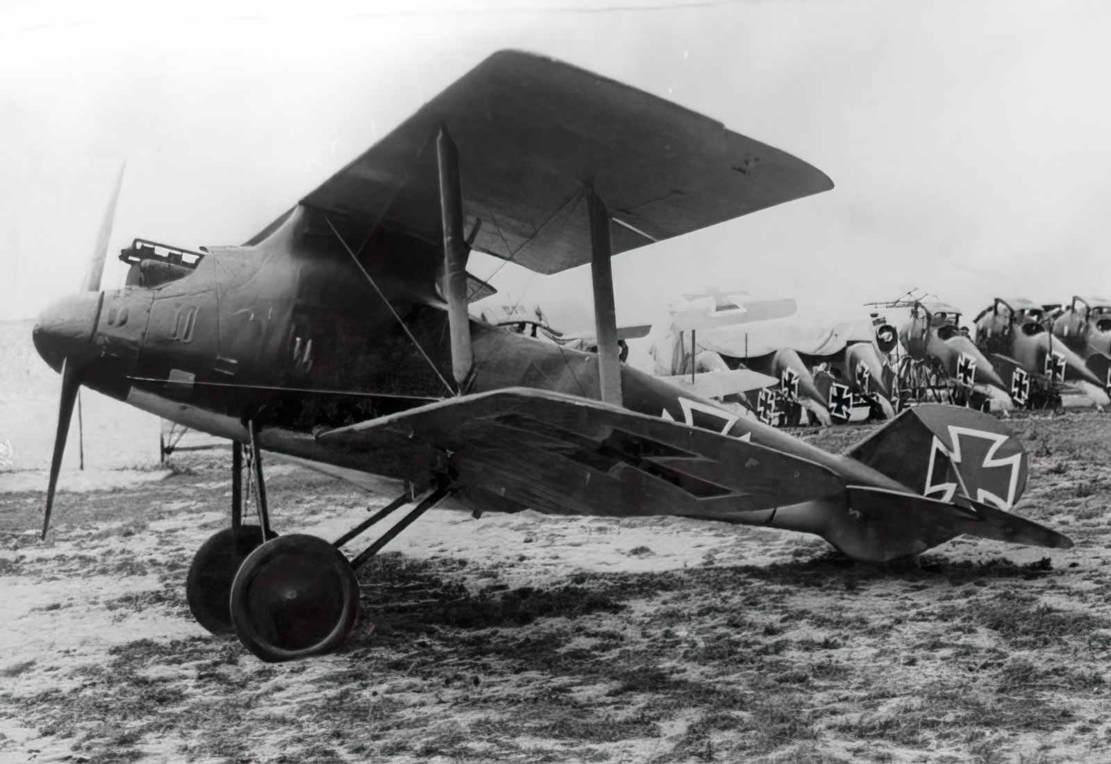 Lfg Roland Dii Biplane Fighter Imperial Germany A4 Photo Print