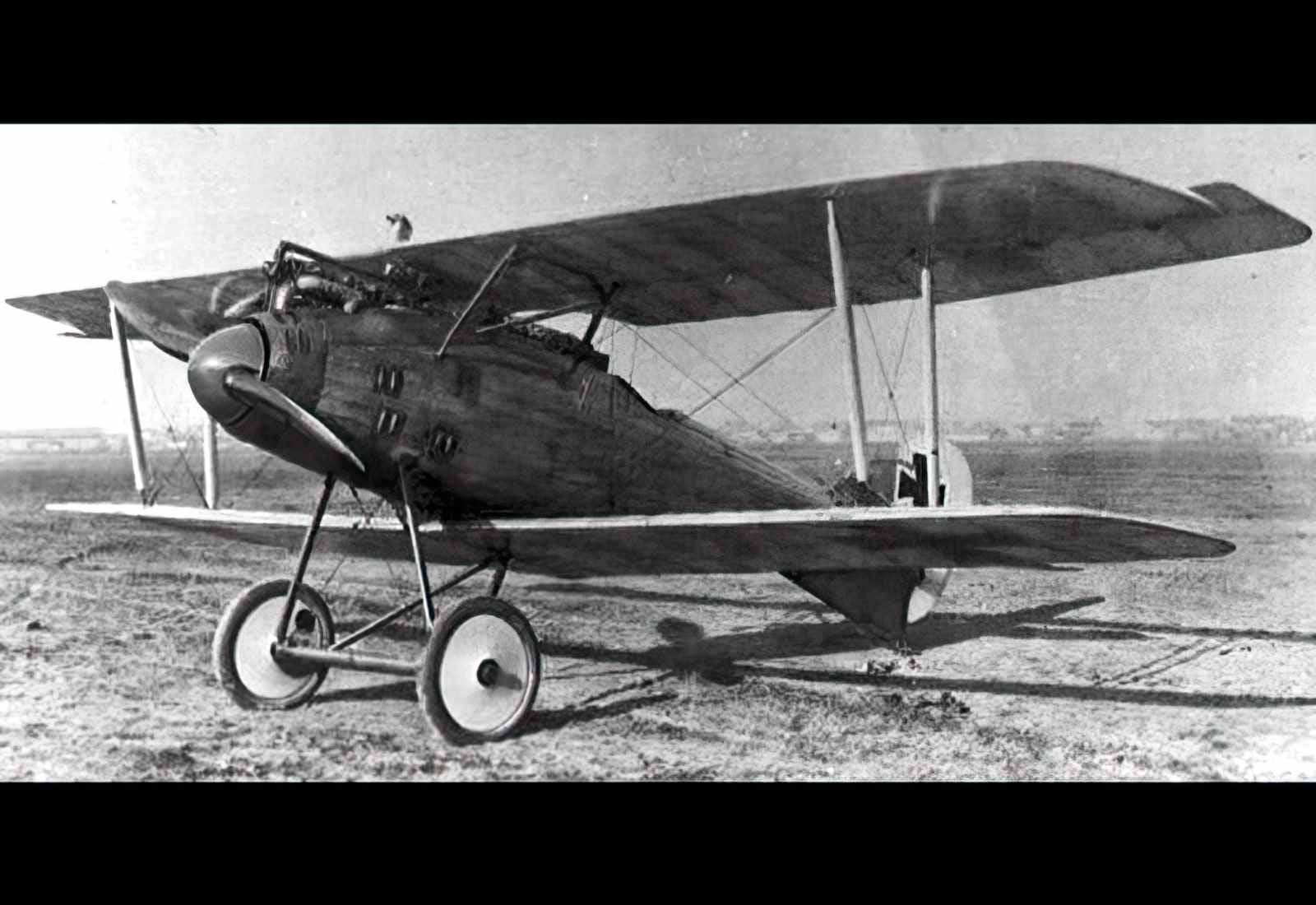 Lfg Roland Dvi Biplane Fighter A4 Photo Print