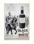 Life Guardsman Scotch Vintage Retro Advert Poster A4 Photo Print