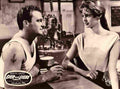 Light Across the Street The 04  film star poster A4 Photo Print