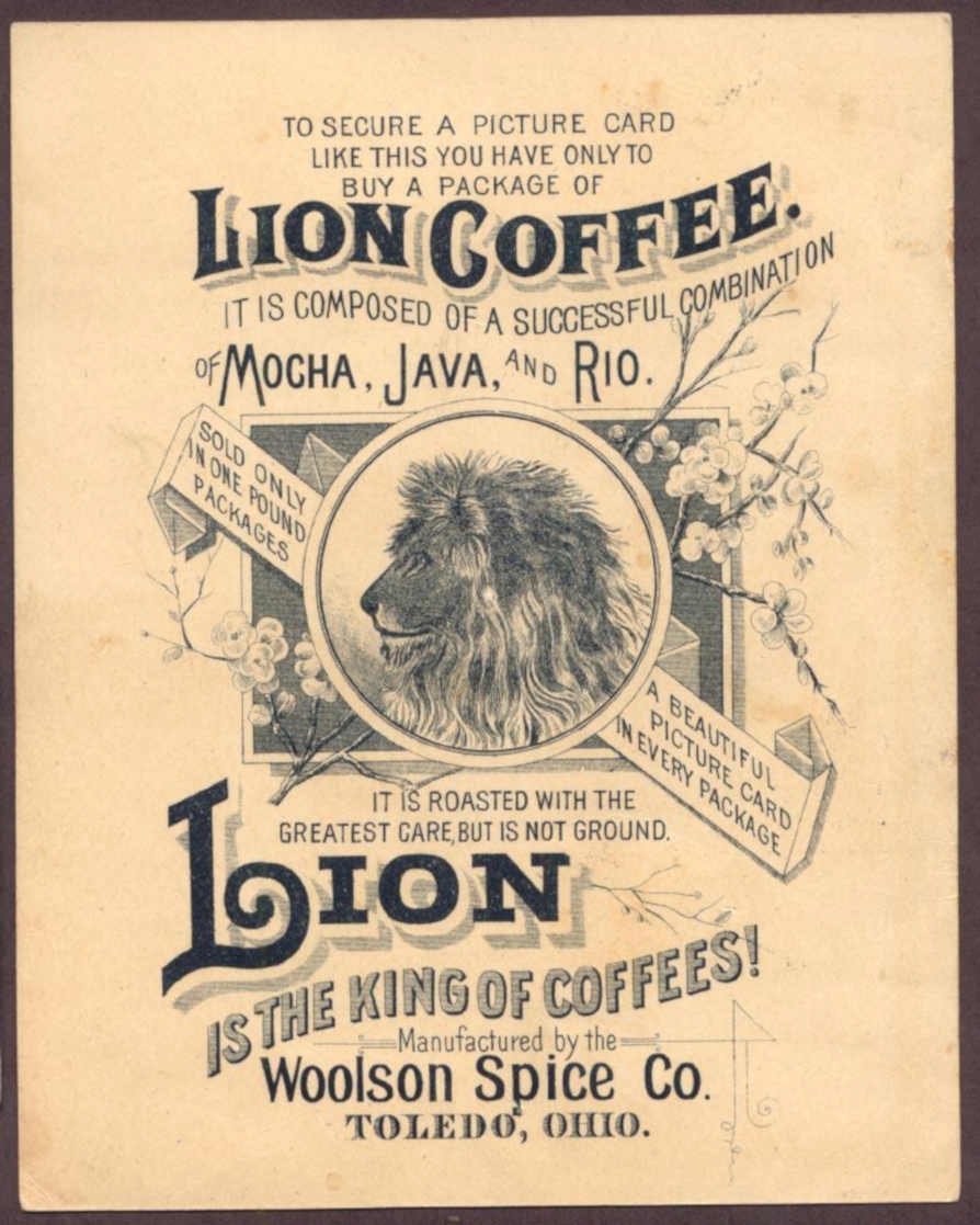 Lion Coffee Bean 1 Vintage Retro Advert Ads A4 Photo Print