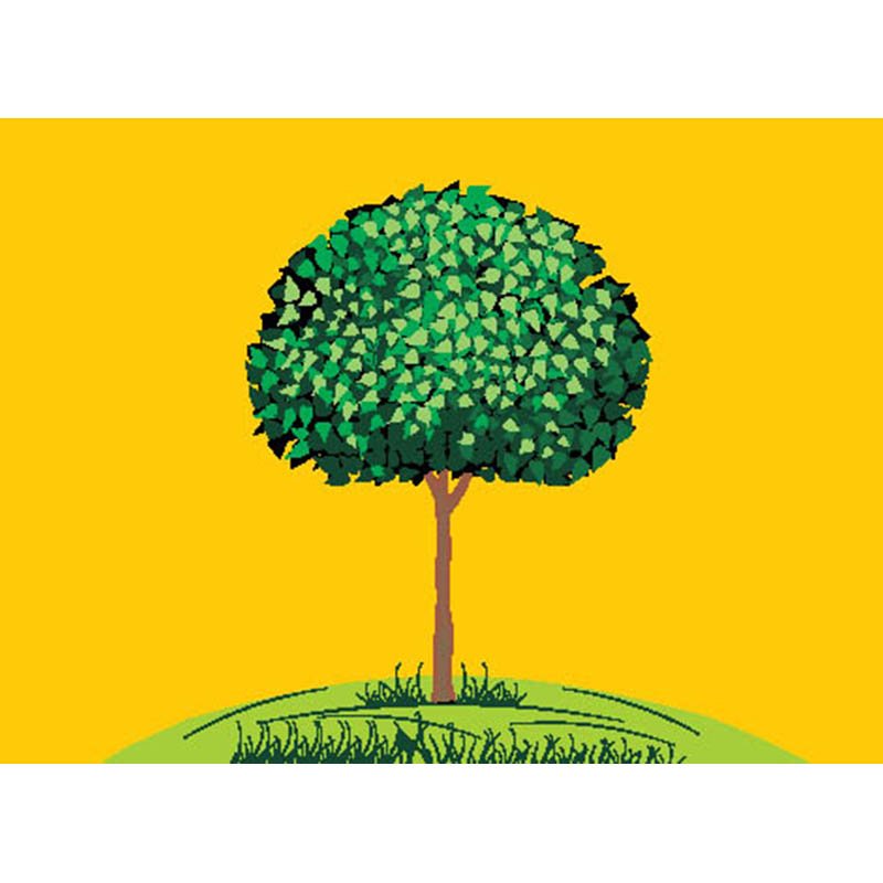 Lipetsk City Flag N3753 A4 Photo Print