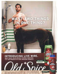 Live Wire Shower Vintage Retro Advert Poster A4 Photo Print