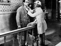 Lloyd Harold Cats Paw The 4 film star poster A4 Photo Print