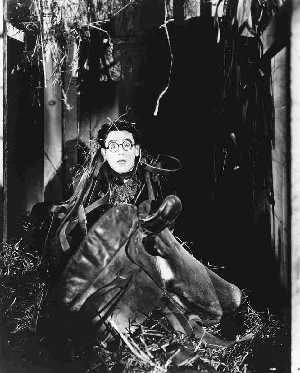 Lloyd Harold Grandmas Boy 1 film star poster A4 Photo Print
