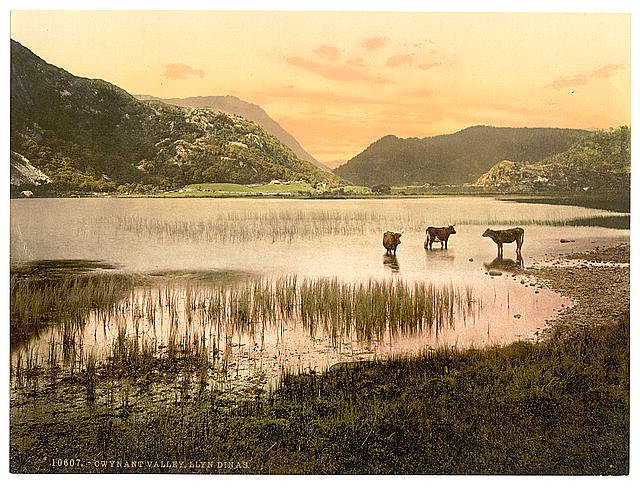 Llyn Dinas Gwynant Valley Vintage A4 Photo Print