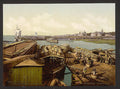 Loading codfish Archangel Kola Peninsula Vintage A4 Photo Print