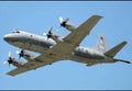 Lockheed Cp140 Aurora Maritime Patrol Aircraft Canada A4 Photo Print