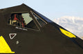 Lockheed F117 Nighthawk 8 A4 Photo Print