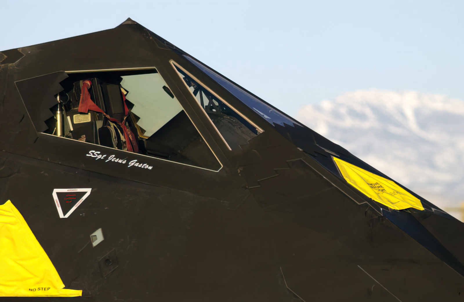 Lockheed F117 Nighthawk 8 A4 Photo Print