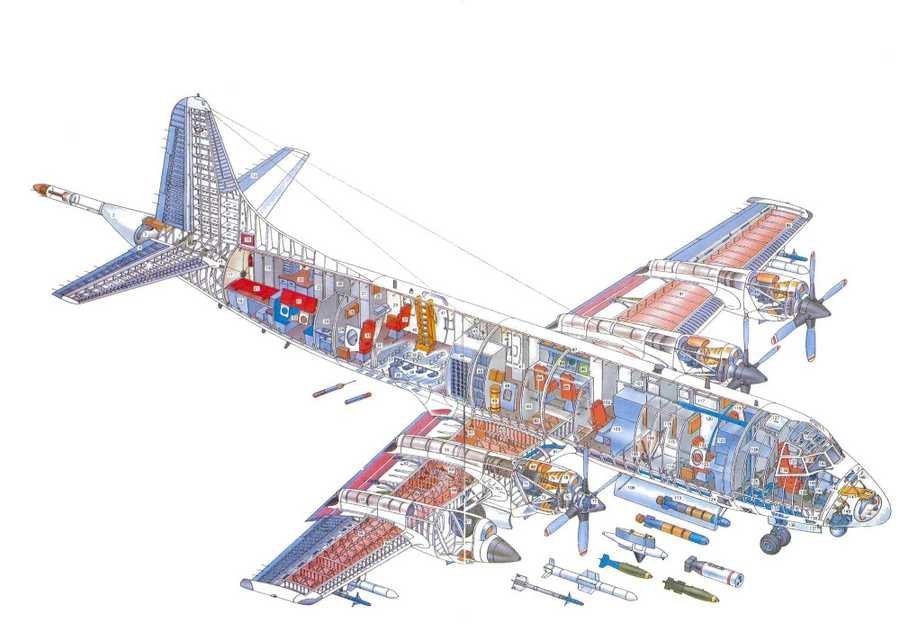 Lockheed P 3 Orion cutaway A4 Photo Print