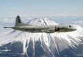 Lockheed P3 Orion Maritime Patrol Aircraft United States 4 A4 Photo Print