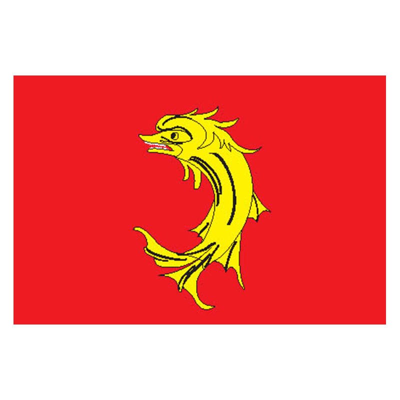 Loire Dep Flag N2954 A4 Photo Print