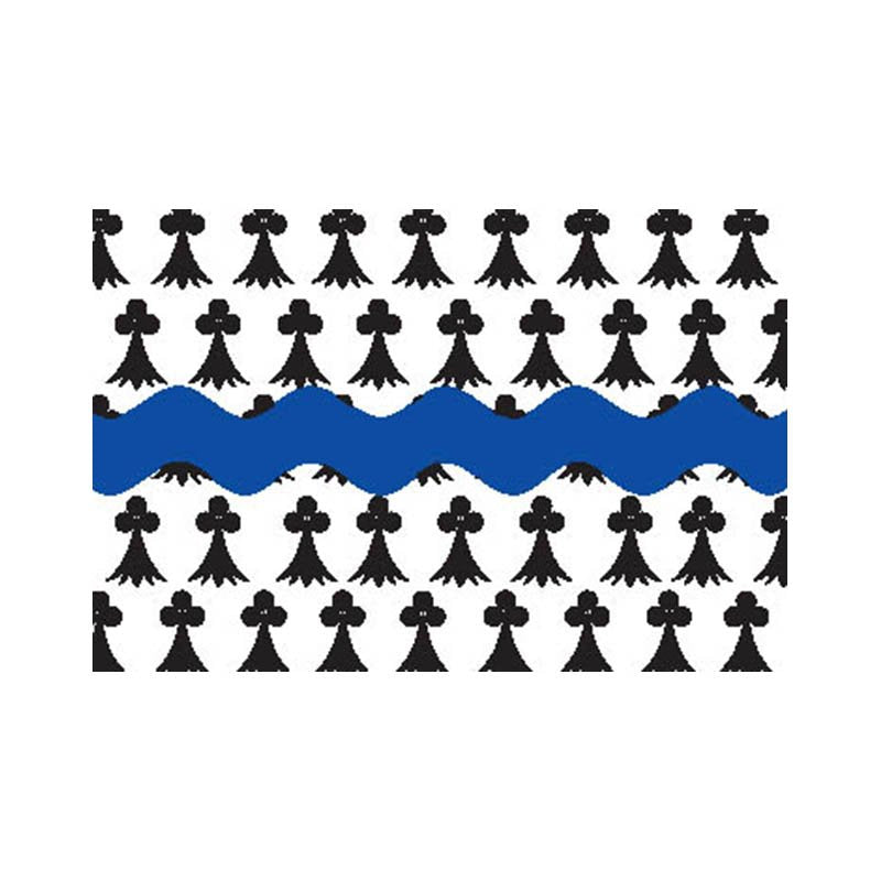 Loireatlantique Dep Flag N2955 A4 Photo Print