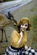 Lollobrigida Gina 11 film star poster A4 Photo Print