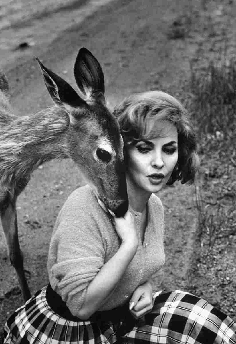 Lollobrigida Gina 12 film star poster A4 Photo Print
