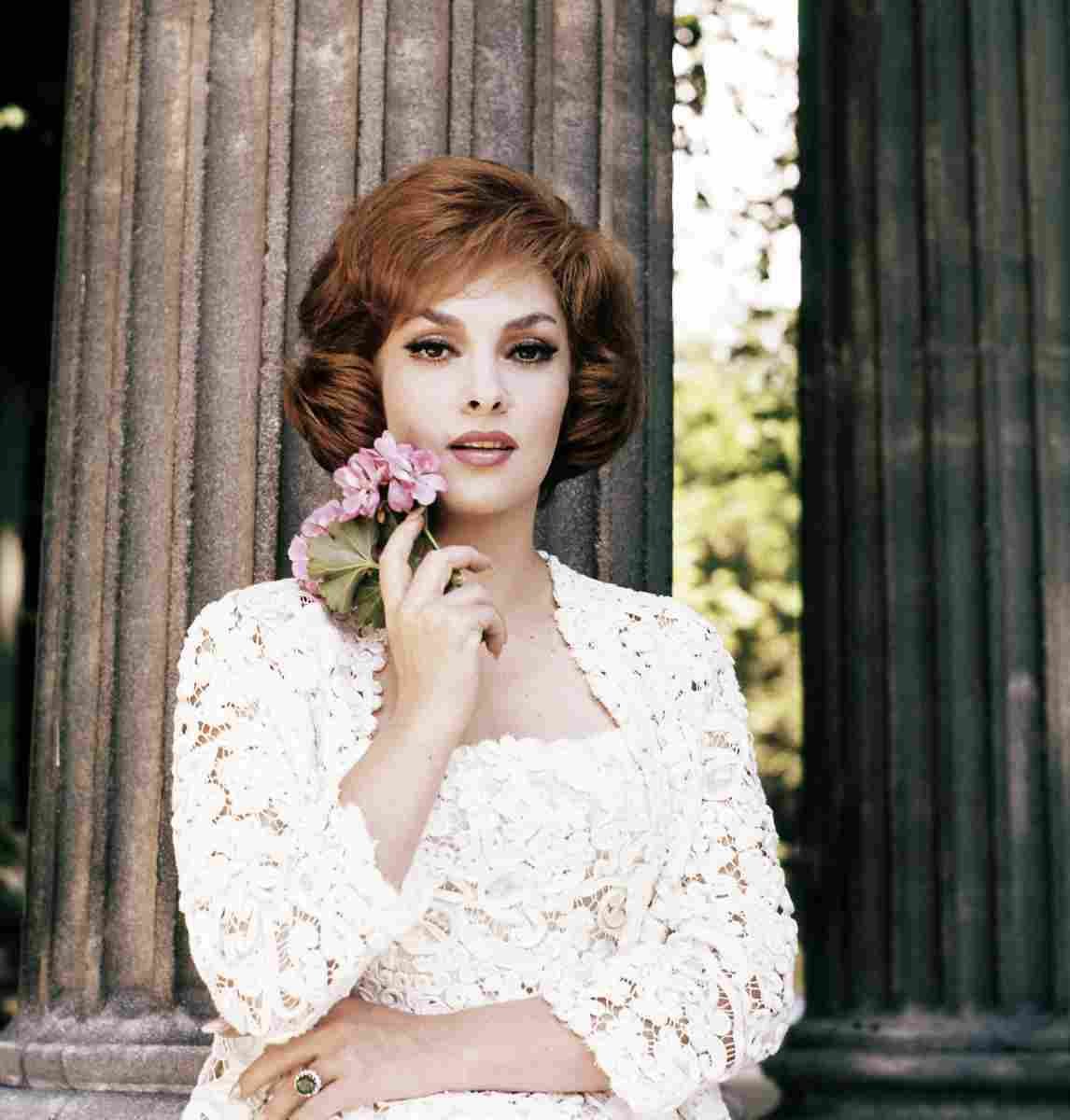 Lollobrigida Gina 15 film star poster A4 Photo Print
