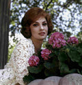 Lollobrigida Gina 16 film star poster A4 Photo Print