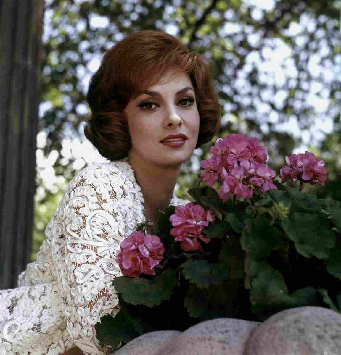 Lollobrigida Gina 16 film star poster A4 Photo Print