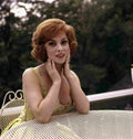 Lollobrigida Gina 18 film star poster A4 Photo Print