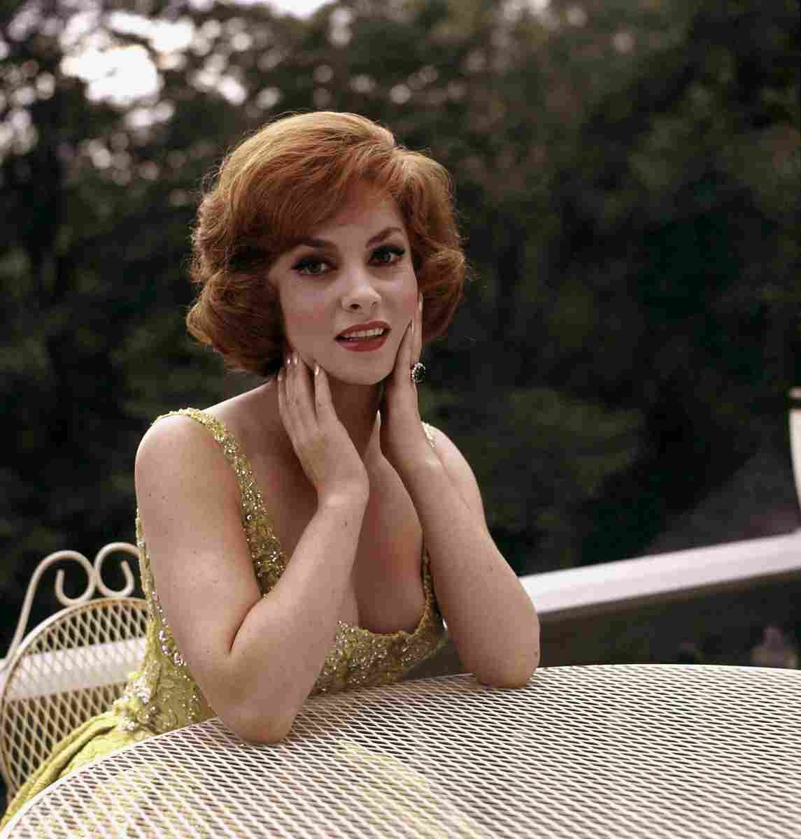 Lollobrigida Gina 18 film star poster A4 Photo Print