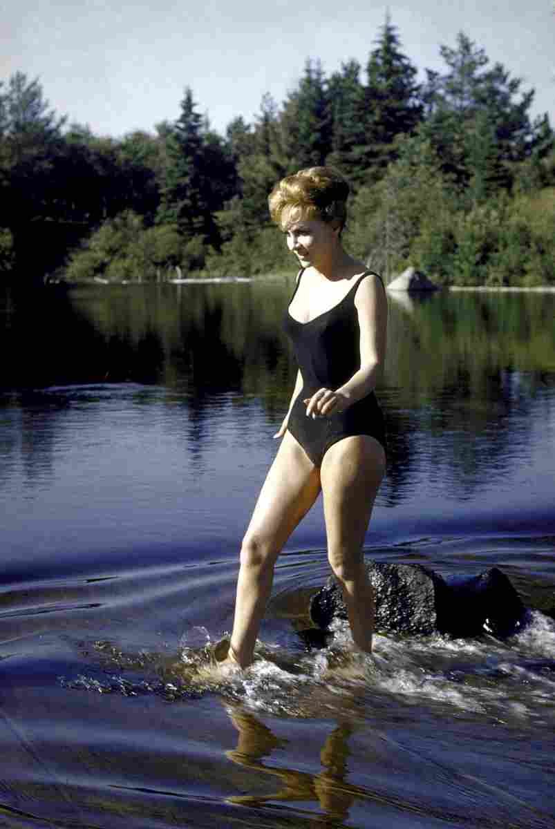 Lollobrigida Gina 8 film star poster A4 Photo Print