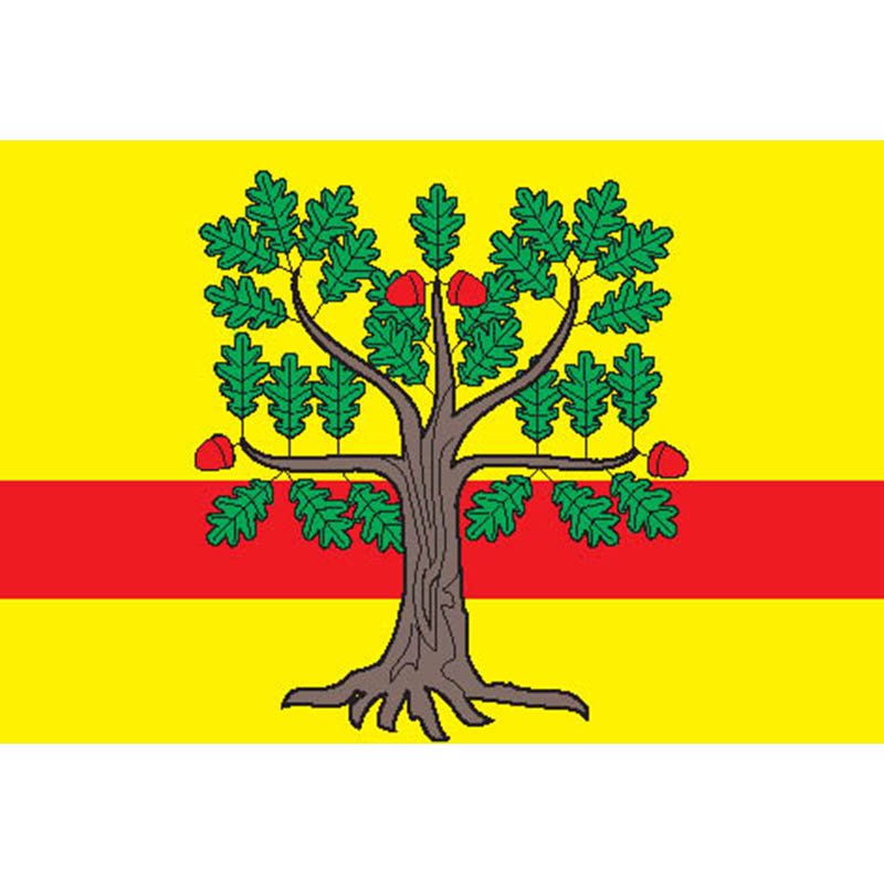 Lomonosovsky Mos Flag N2705 A4 Photo Print