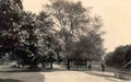 London Ealing Ealing Common Vintage A4 Photo Print