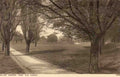 London Ealing Ealing Common from Elm Avenue Vintage A4 Photo Print